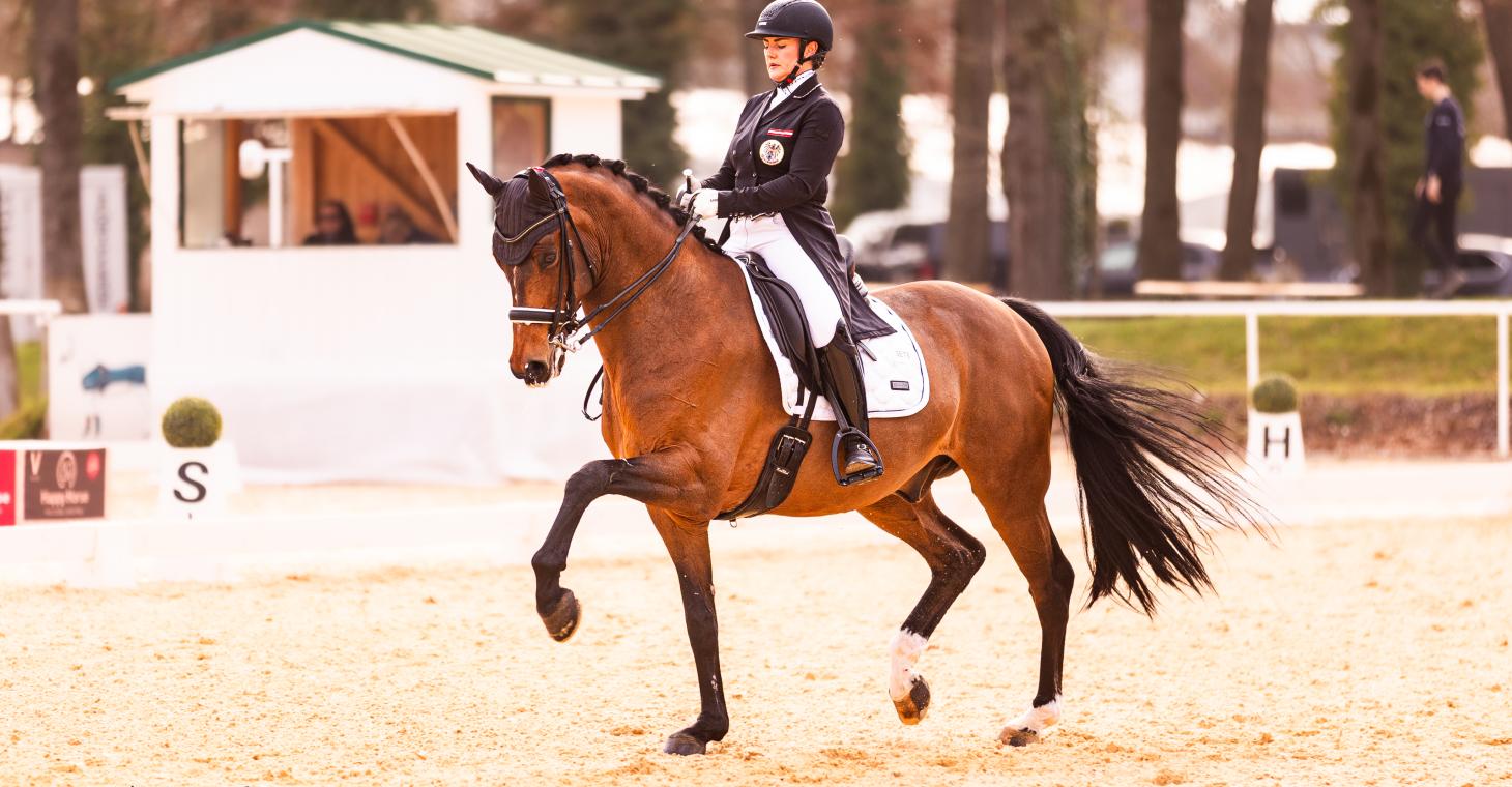 Kentucky_Porsche-Diana_cAliceBenes Kentucky_Porsche-Diana_cAliceBenes