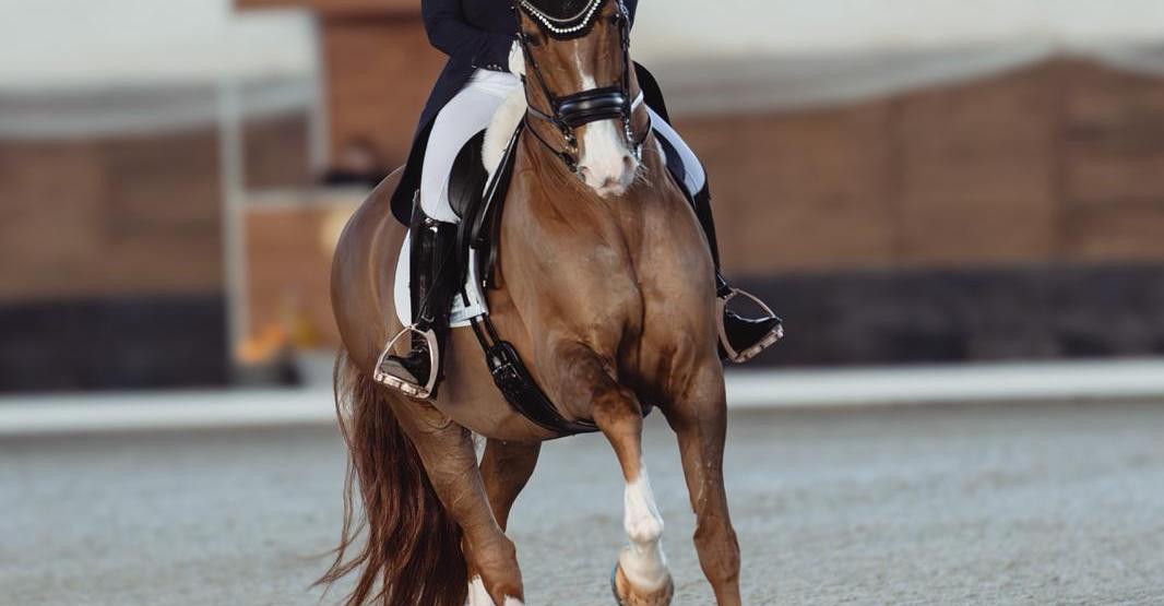 Imhotep_Porsche-Diana_Motesice-2026_cMTF